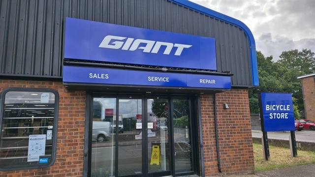Giant Colchester